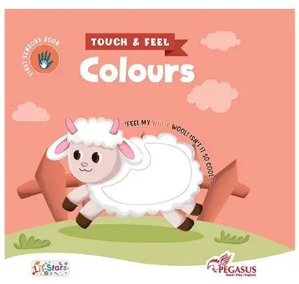 Touch & Feel Board Book Colours