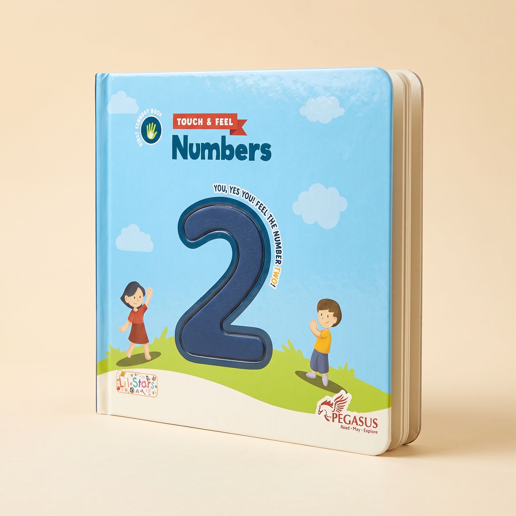 Touch & Feel Board Book Numbers