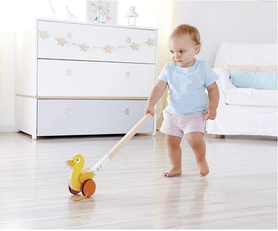 HAPE Bird Pull Along