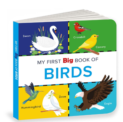 My First Big Book of Birds