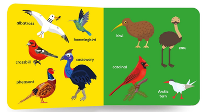 My First Big Book of Birds