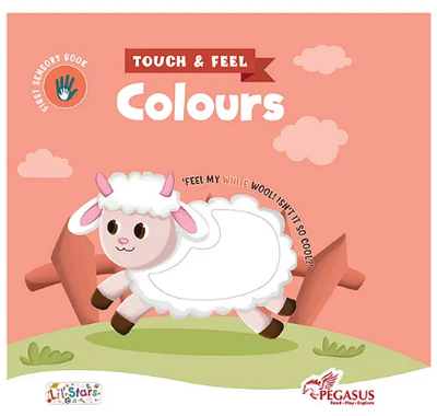 Touch & Feel Board Book Colours