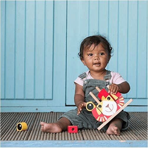 Animal Variety Stacking Red Toy Rental