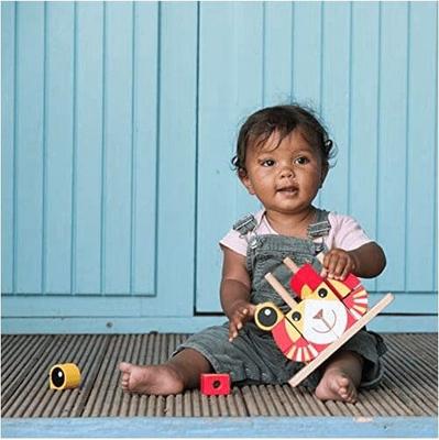 Animal Variety Stacking Red Toy Rental