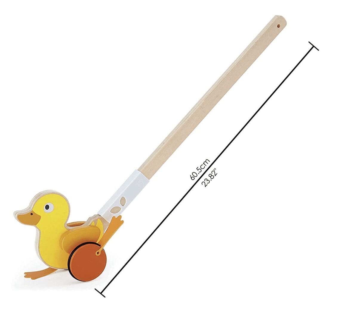 HAPE Bird Pull Along
