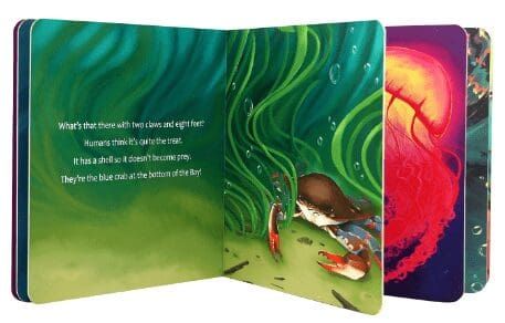 Super Sea creatures- AR Book view 3