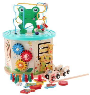Wooden Frog Activity Cube